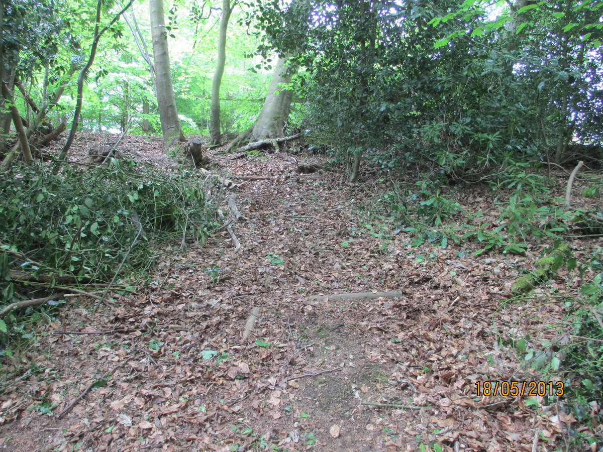 Southern Slope Steps Before (1)